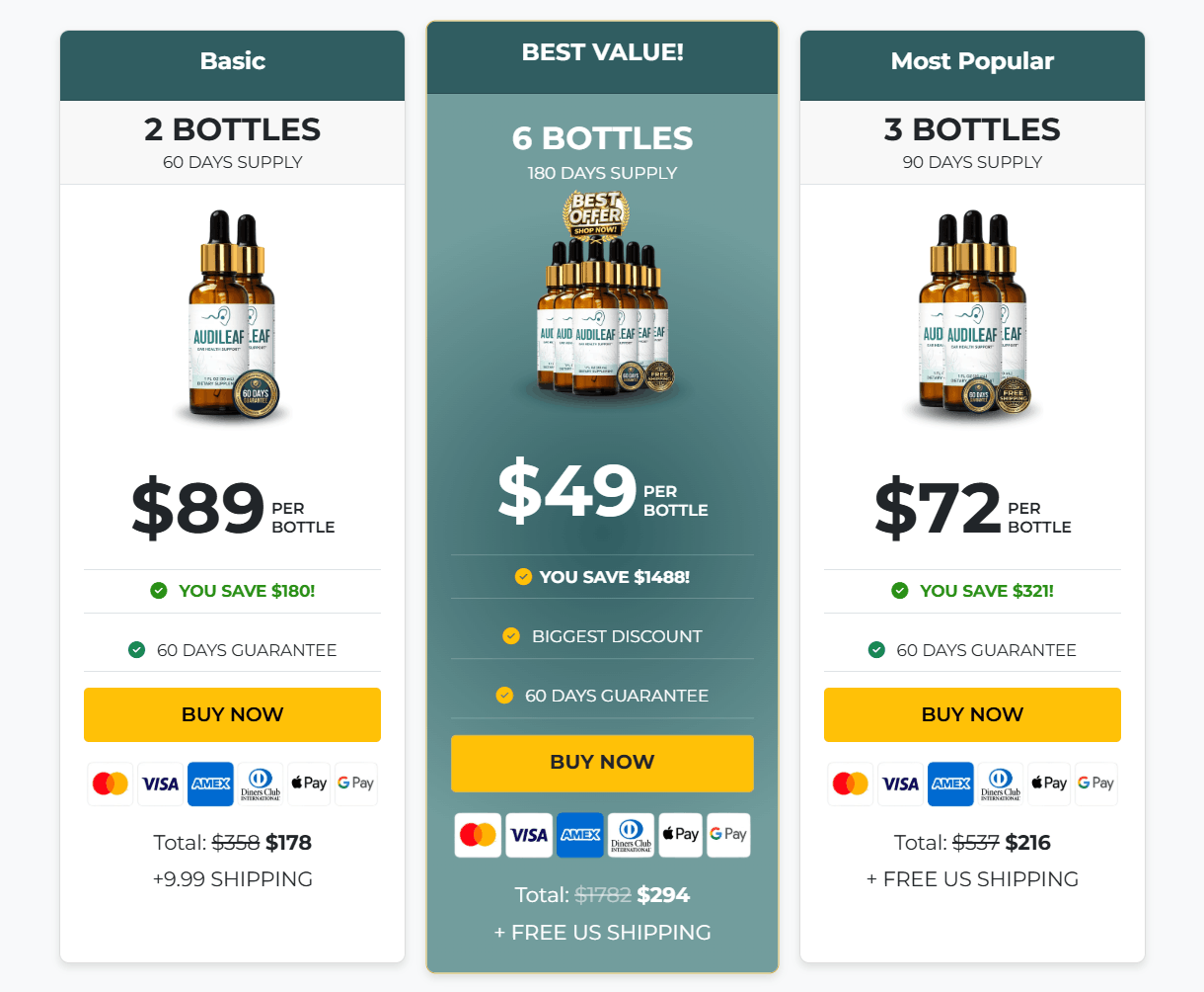  AudiLeaf price